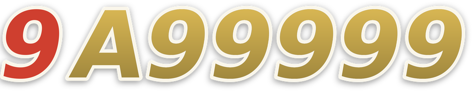 9a99999